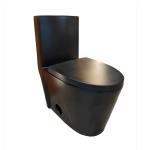 Siphon Flushing Toilet BTO-119 MB - Call for Price